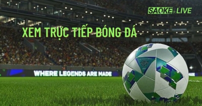 Phunucodon.me -Trang xem bóng đá online siêu rõ nét và mượt mà nhất 2024